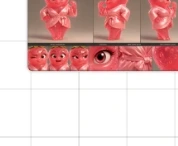 Wife Gummy character sheet